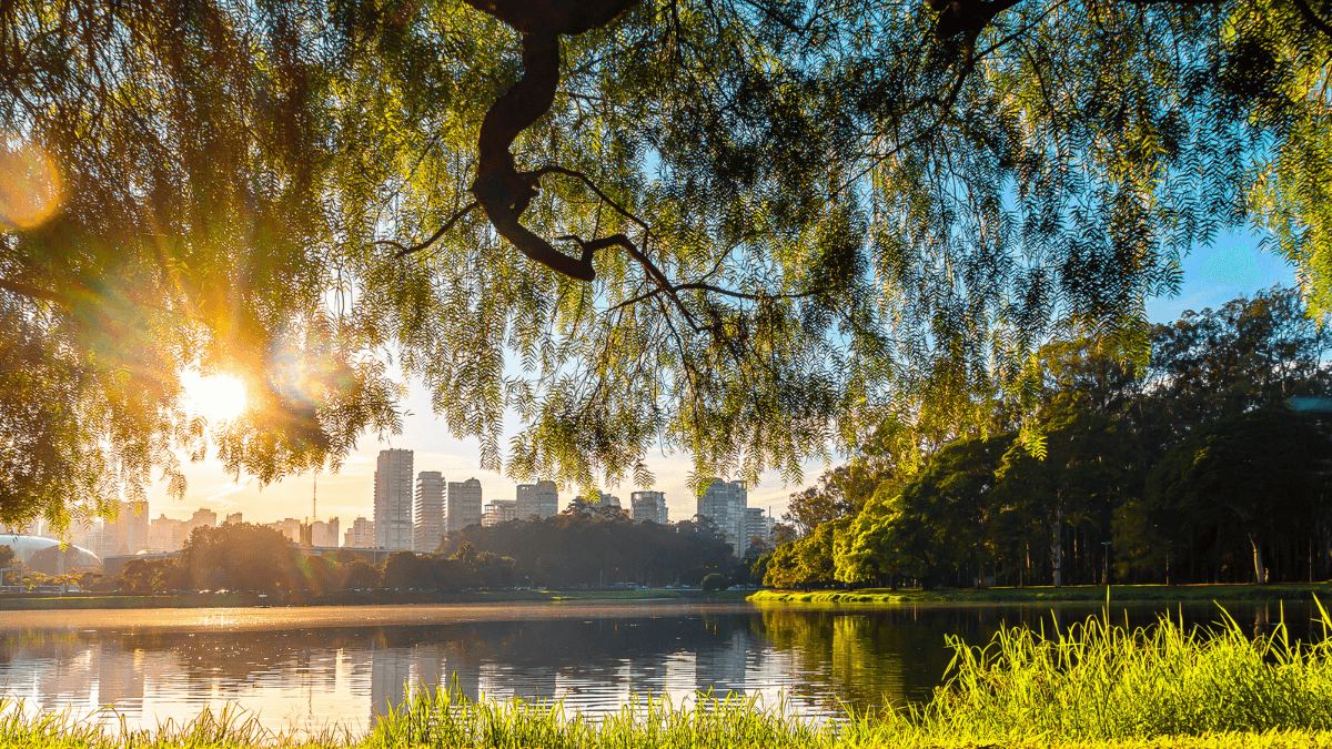 Parque Ibirapuera