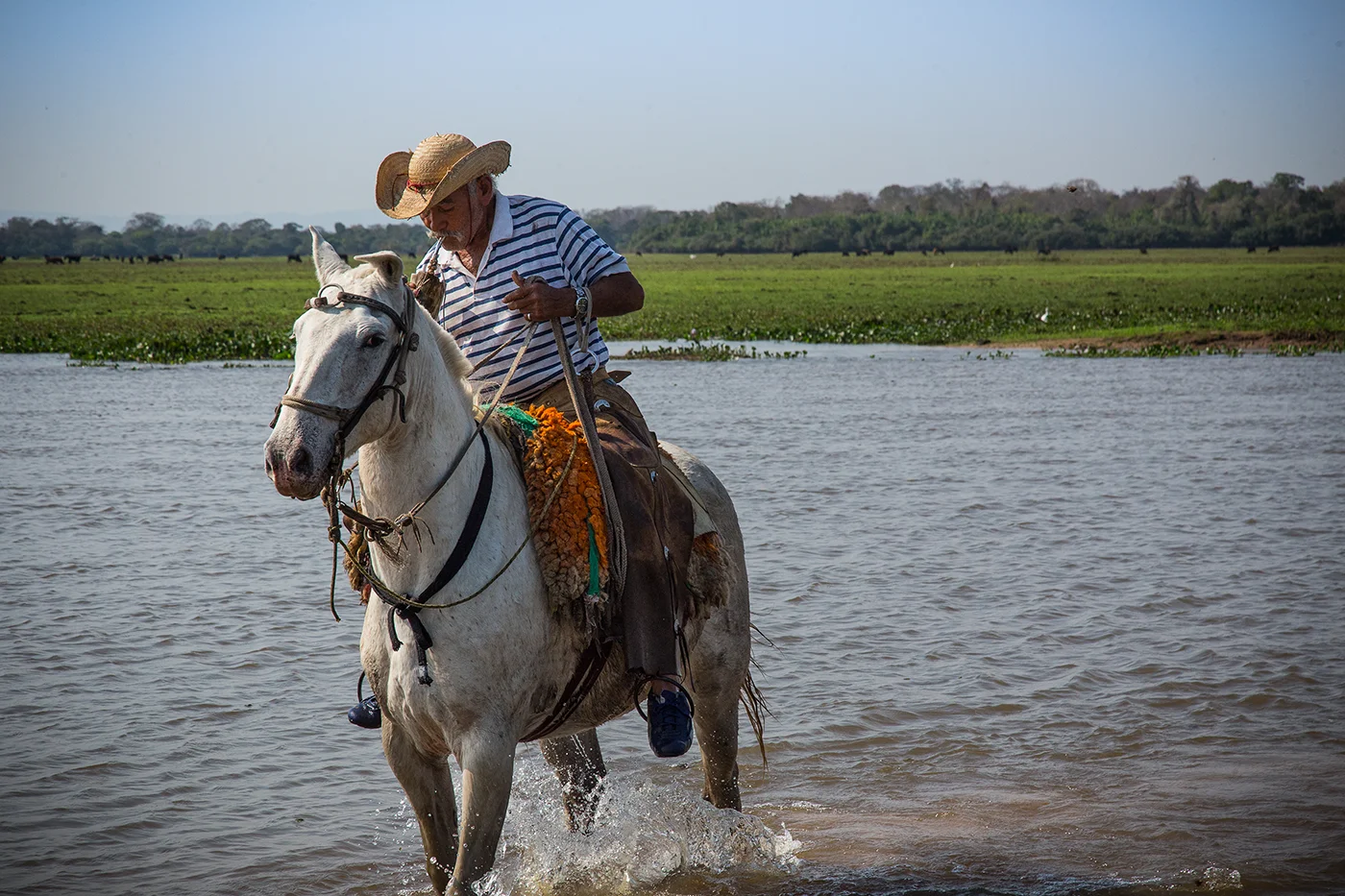 Pantanal será seu próximo destino imperdível