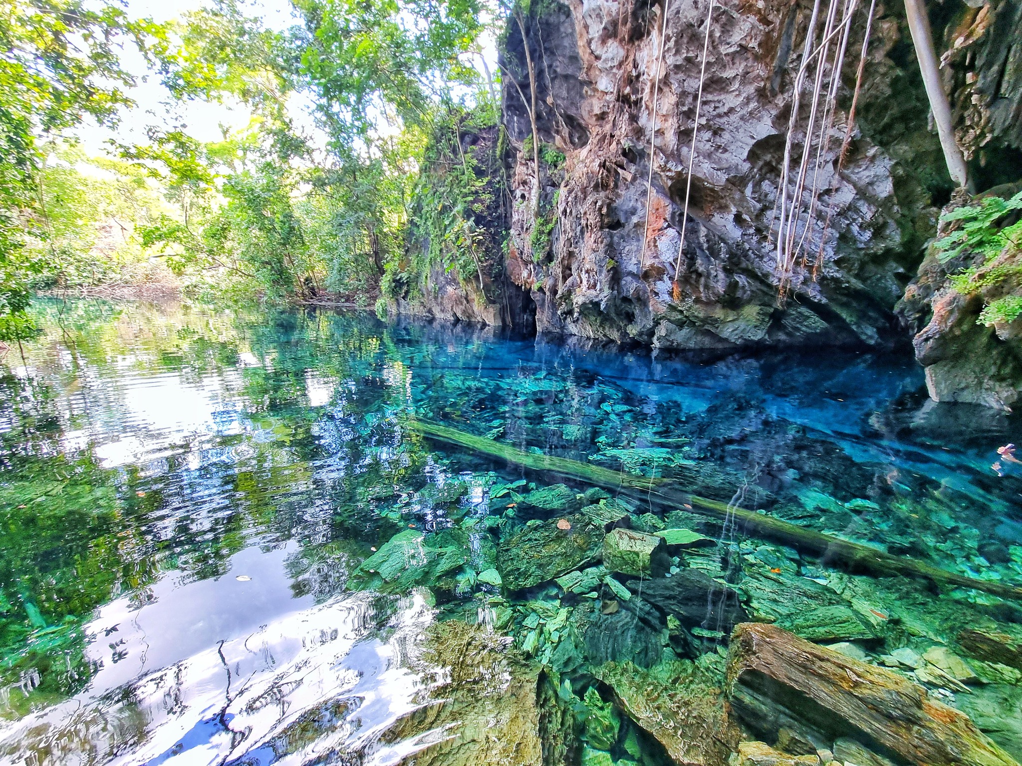 Lagoa de água cristalina cercada por vegetação e rochas no Jalapão