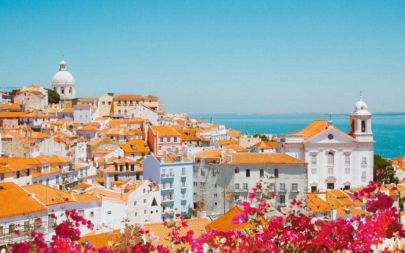 Vista do bairro de Alfama em Lisboa, com casas de telhas vermelhas, o Panteão Nacional e a Igreja de São Vicente de Fora, flores coloridas em primeiro plano e o rio Tejo ao fundo.