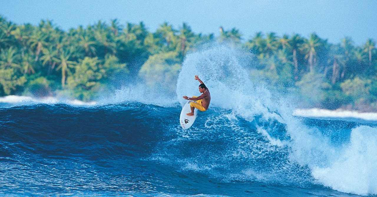 Surfista executando uma manobra em uma onda, com uma floresta ao fundo.