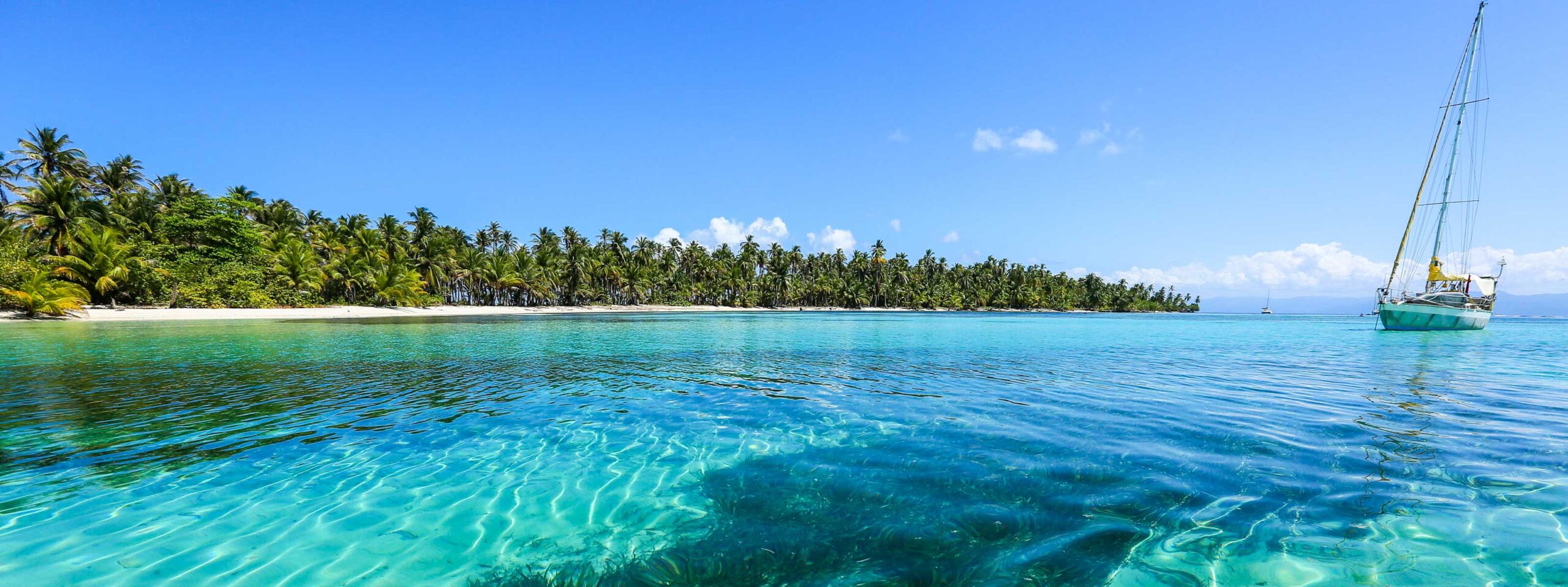 Veleiro ancorado nas águas cristalinas da Ilha de San Blas, cercada por uma densa vegetação de palmeiras.