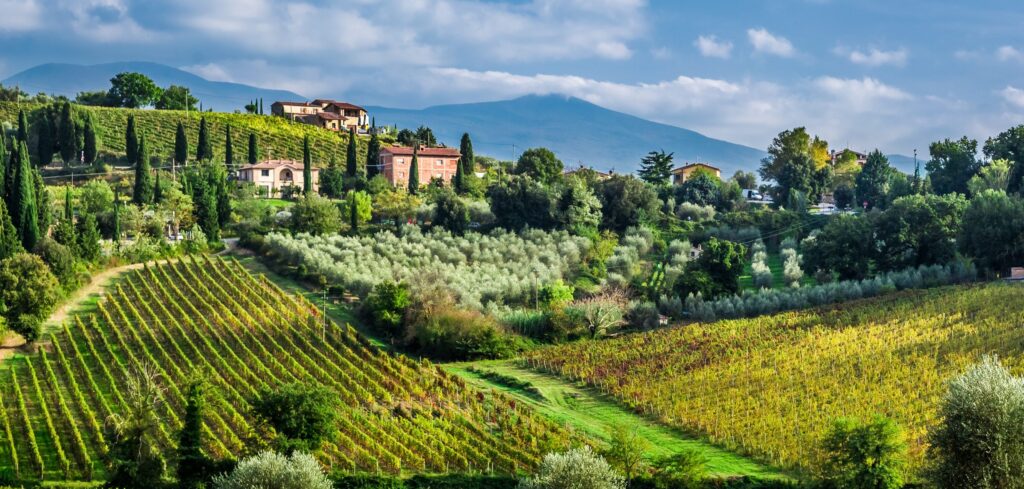 Tuscany Wine