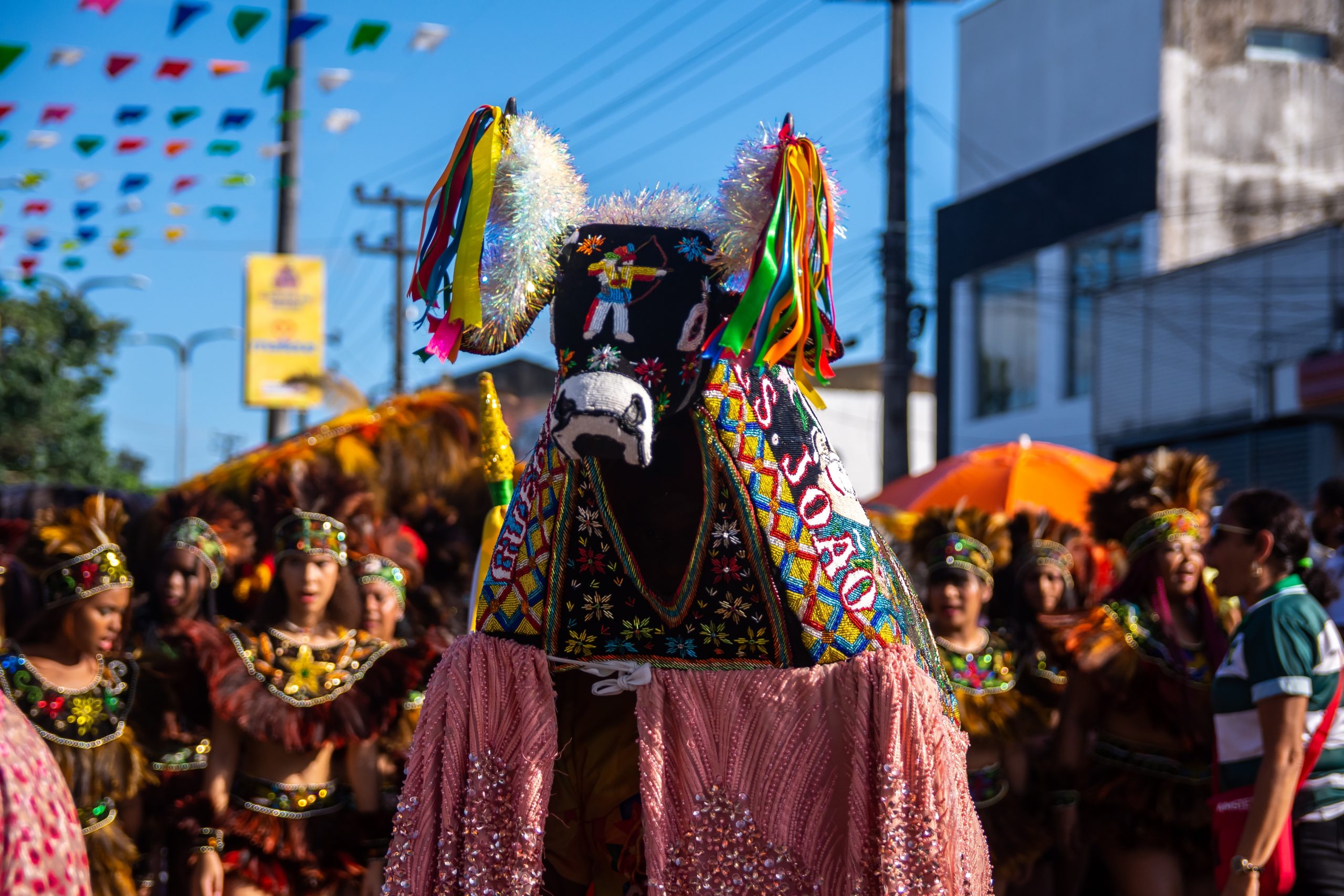 Representação folclórica do Bumba-meu-boi em uma festa popular no Brasil.