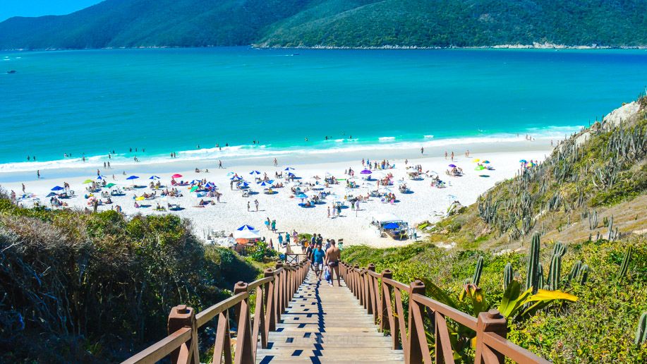 Vista deslumbrante de uma praia de areia branca e águas cristalinas em Arraial do Cabo, com acesso por uma escada de madeira entre a vegetação. Turistas aproveitam o dia ensolarado à beira-mar.