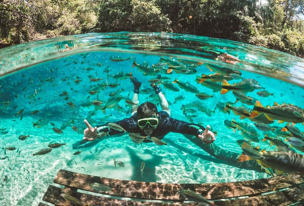 Turista praticando flutuação nas águas cristalinas de Bonito, em meio a peixes, promovendo o ecoturismo.