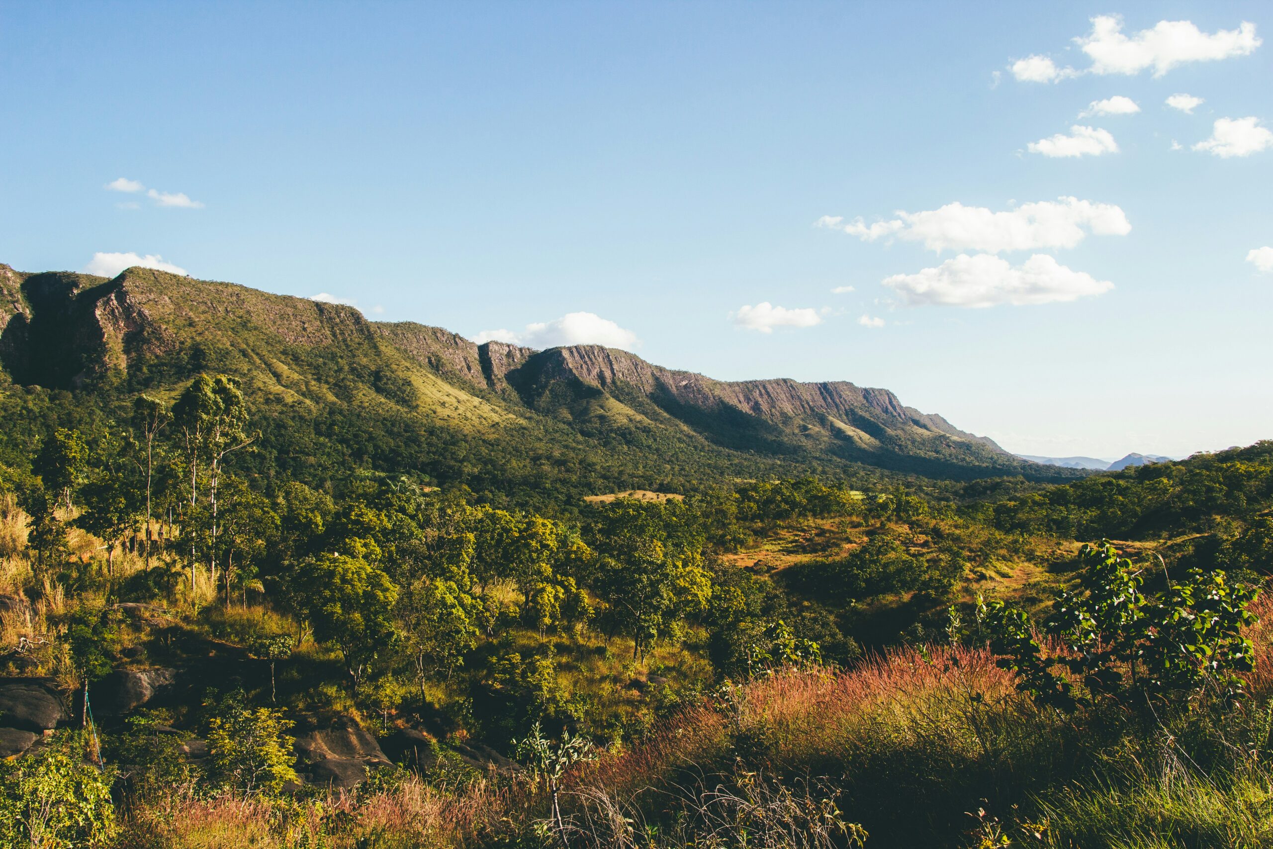 Vista panorâmica do Parque Nacional da Chapada dos Veadeiros, em Goiás, com montanhas ao fundo e vegetação típica do cerrado em destaque.