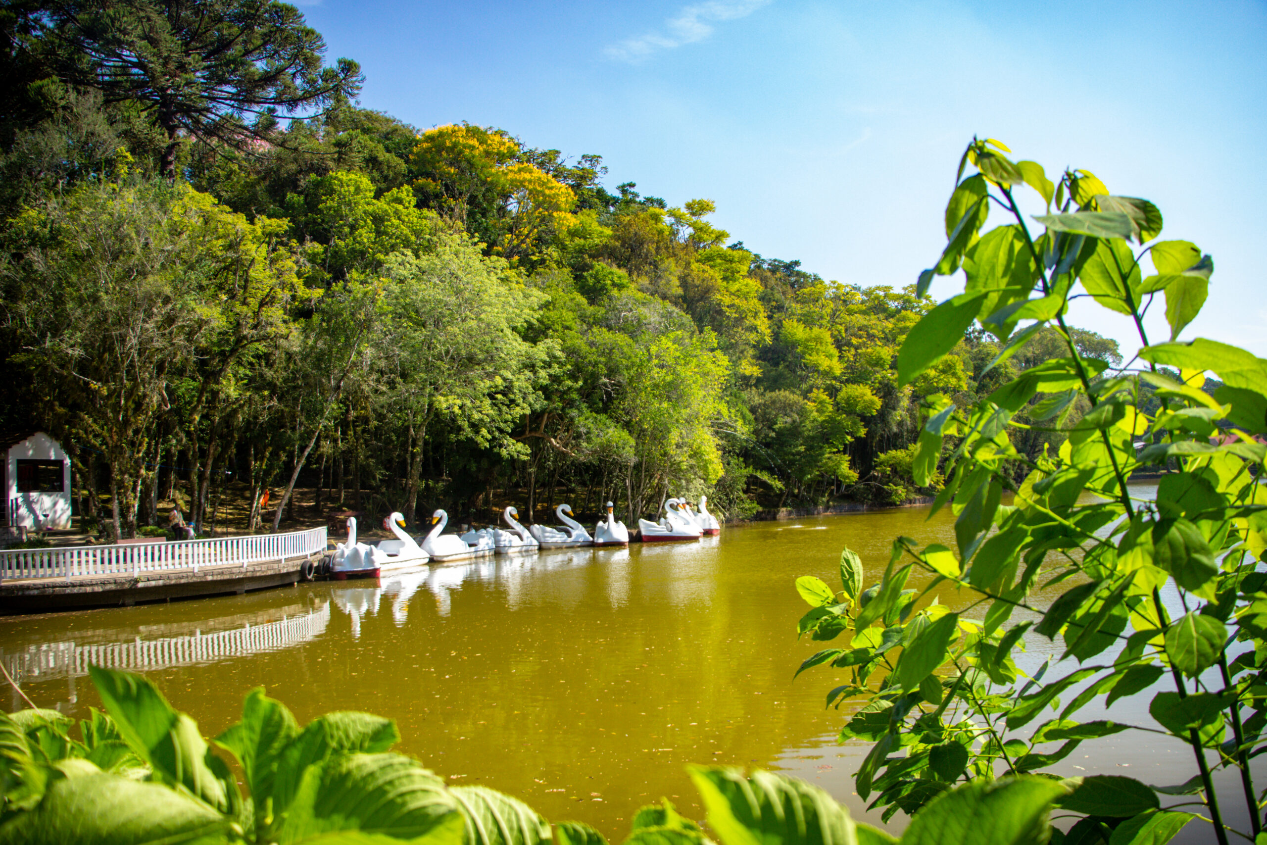 parque aldeia do imigrante