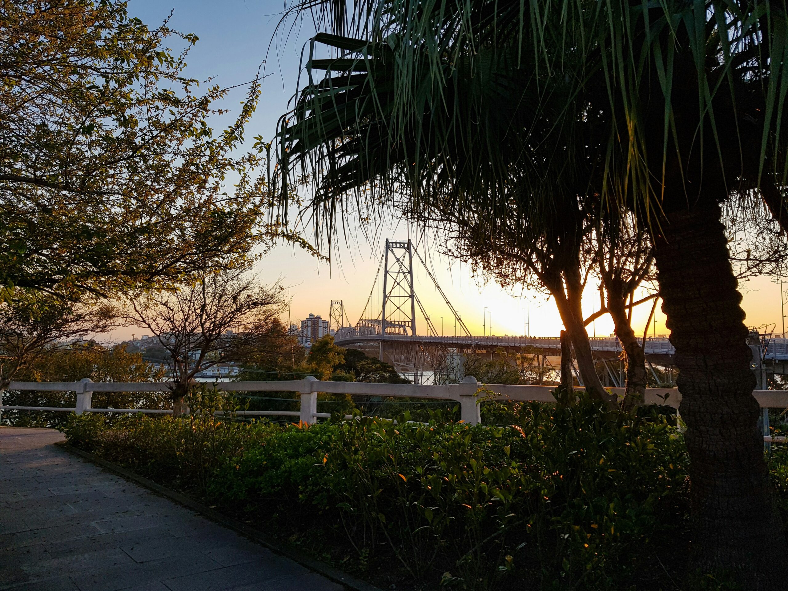 Vista da Ponte Hercílio Luz em Florianópolis, Brasil, ao entardecer, com vegetação ao redor, um destino popular para os turistas argentinos.