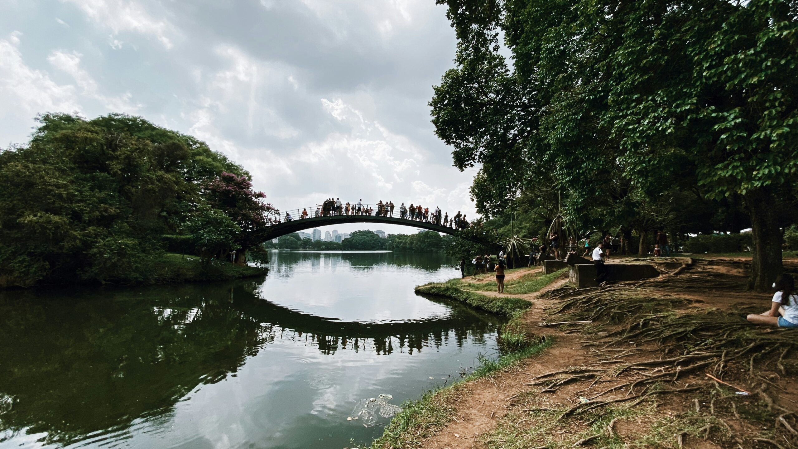 viagem lollapalooza ibirapuera