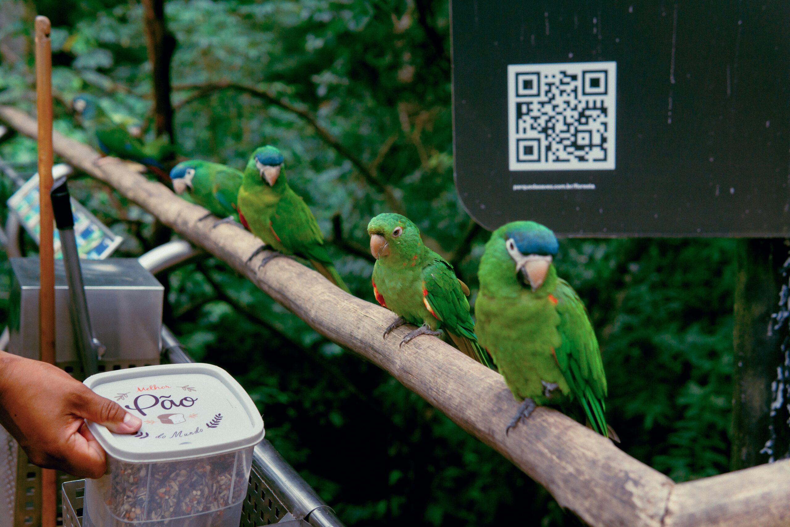 foz do iguaçu